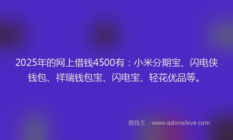 2025年的网上借钱4500有：小米分期宝、闪电侠钱包、祥瑞钱包宝、闪电宝、轻花优品等。