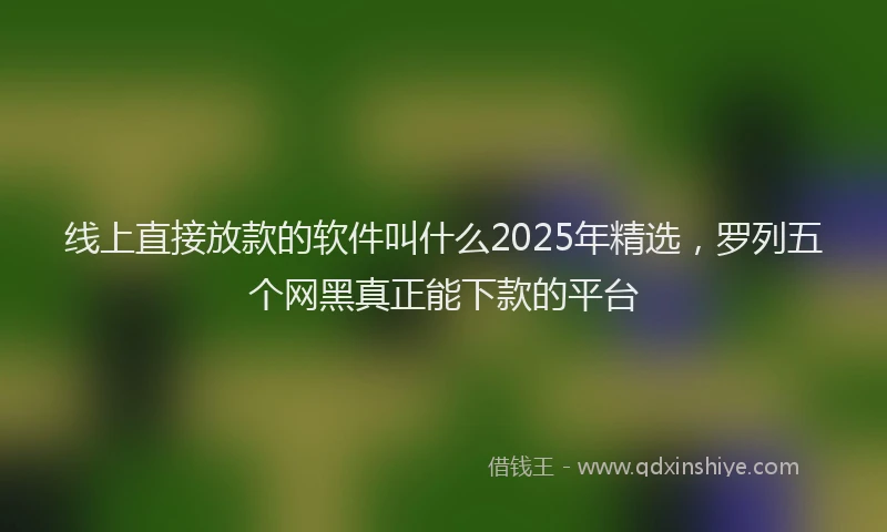 线上直接放款的软件叫什么2025年精选，罗列五个网黑真正能下款的平台