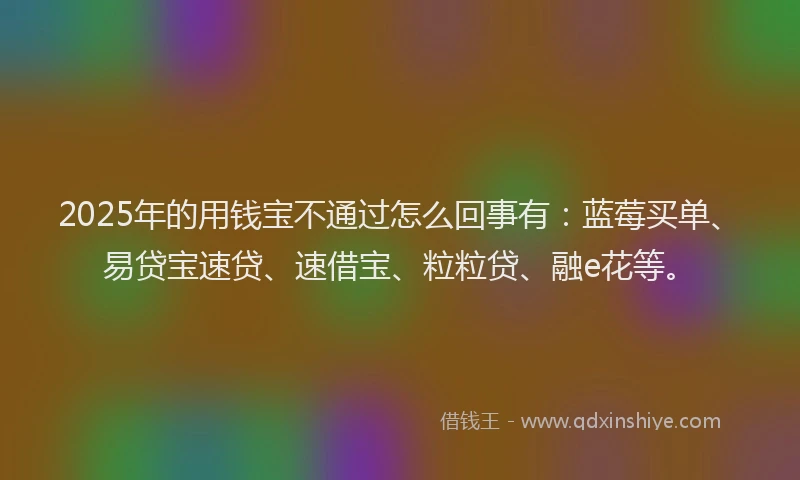 2025年的用钱宝不通过怎么回事有：蓝莓买单、易贷宝速贷、速借宝、粒粒贷、融e花等。