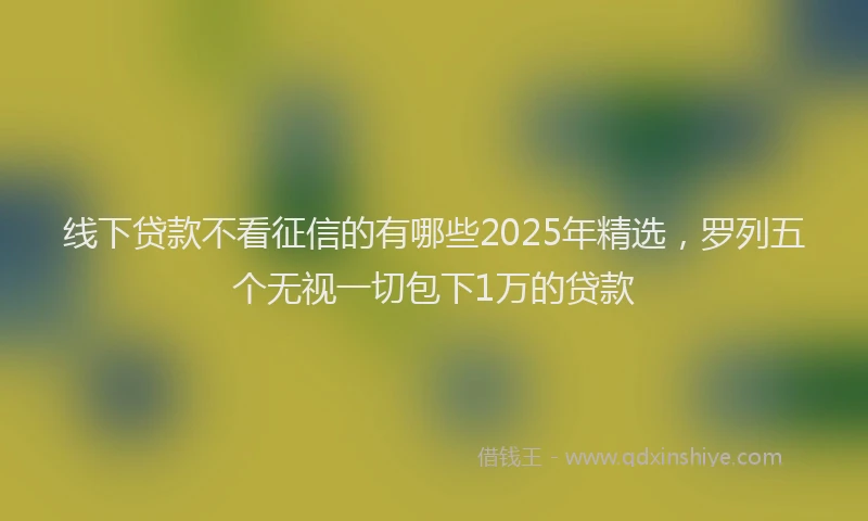 线下贷款不看征信的有哪些2025年精选，罗列五个无视一切包下1万的贷款