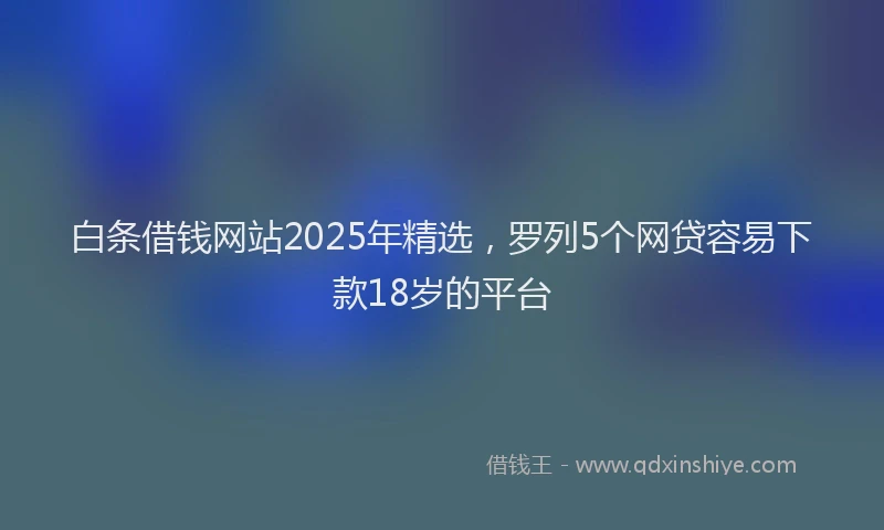 白条借钱网站2025年精选，罗列5个网贷容易下款18岁的平台