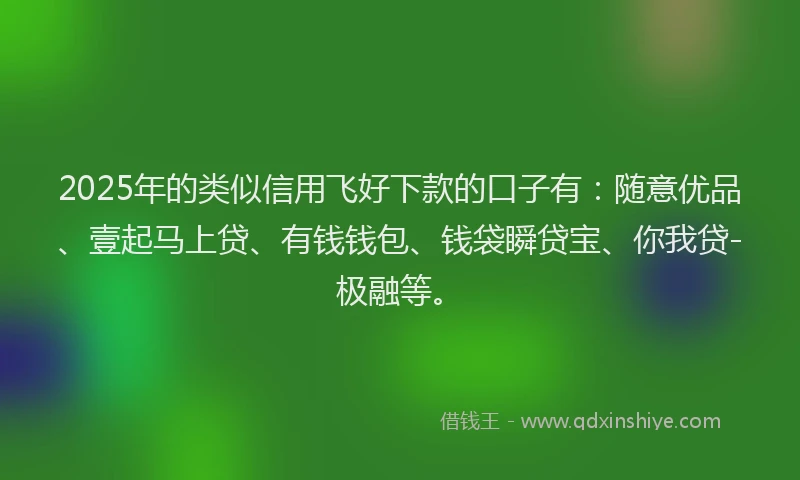 2025年的类似信用飞好下款的口子有：随意优品、壹起马上贷、有钱钱包、钱袋瞬贷宝、你我贷-极融等。