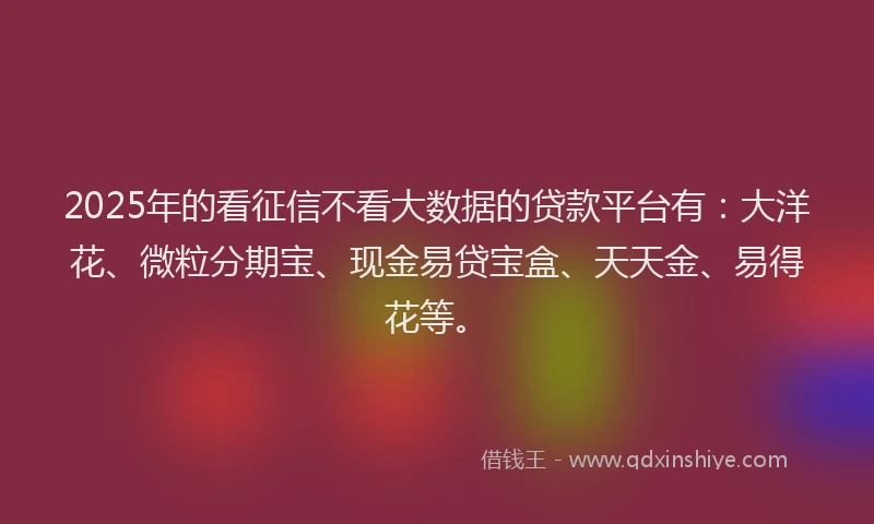 2025年的看征信不看大数据的贷款平台有：大洋花、微粒分期宝、现金易贷宝盒、天天金、易得花等。