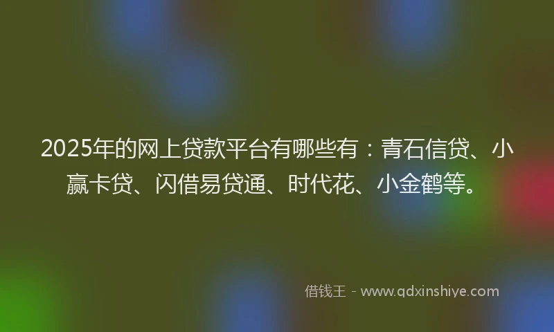 2025年的网上贷款平台有哪些有：青石信贷、小赢卡贷、闪借易贷通、时代花、小金鹤等。