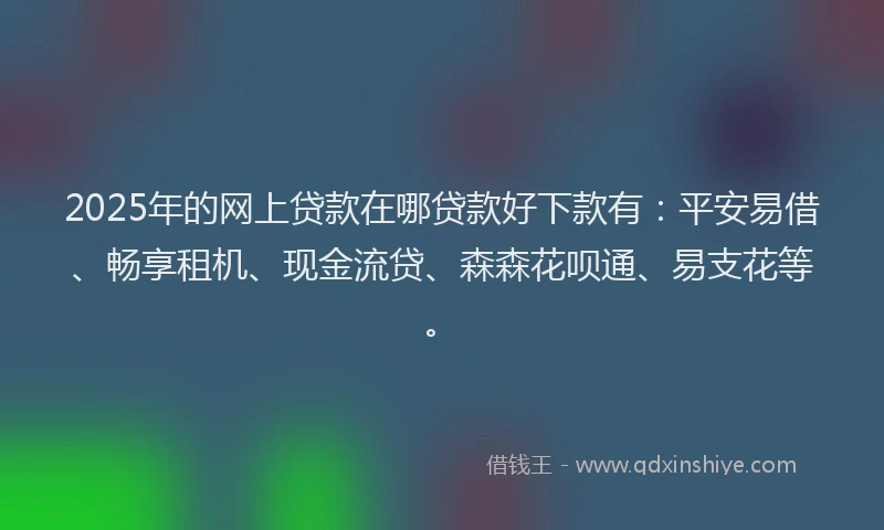 2025年的网上贷款在哪贷款好下款有：平安易借、畅享租机、现金流贷、森森花呗通、易支花等。