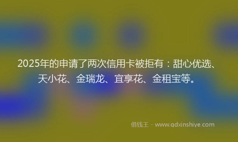 2025年的申请了两次信用卡被拒有：甜心优选、天小花、金瑞龙、宜享花、金租宝等。