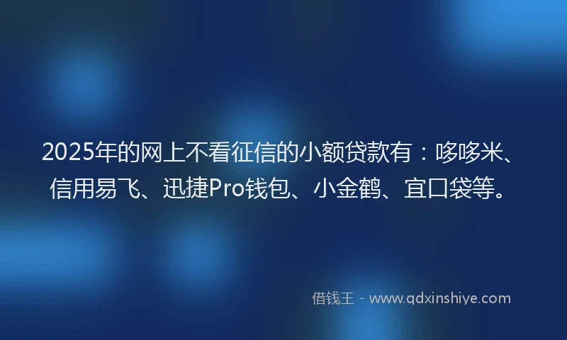 2025年的网上不看征信的小额贷款有：哆哆米、信用易飞、迅捷Pro钱包、小金鹤、宜口袋等。