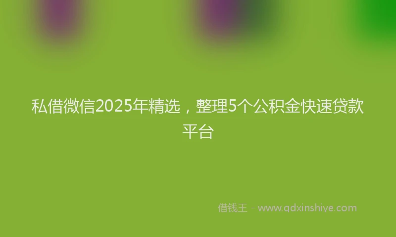 私借微信2025年精选，整理5个公积金快速贷款平台
