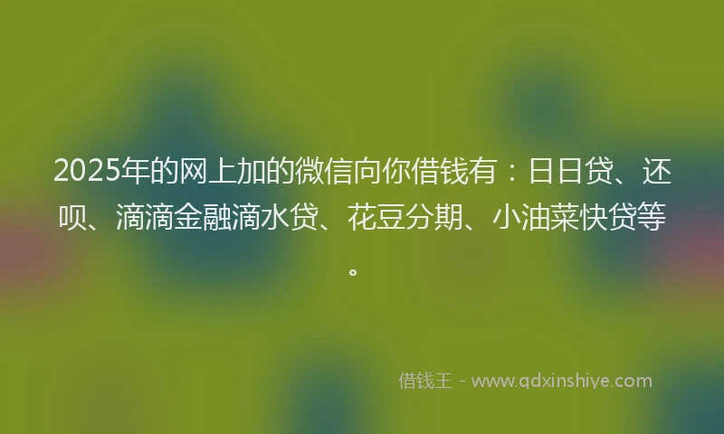 2025年的网上加的微信向你借钱有：日日贷、还呗、滴滴金融滴水贷、花豆分期、小油菜快贷等。