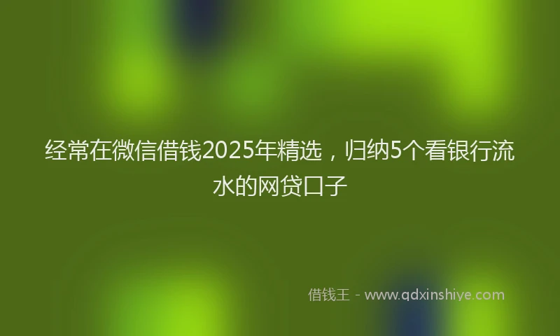 经常在微信借钱2025年精选，归纳5个看银行流水的网贷口子