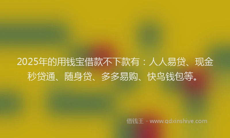 2025年的用钱宝借款不下款有：人人易贷、现金秒贷通、随身贷、多多易购、快鸟钱包等。