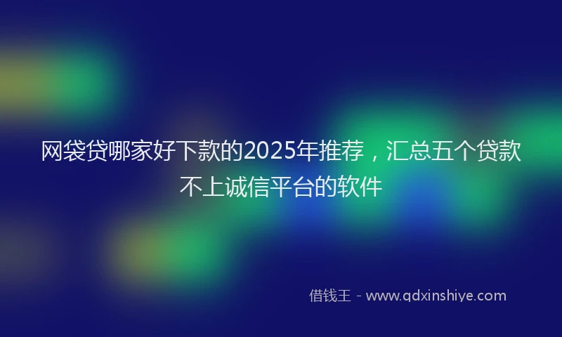 网袋贷哪家好下款的2025年推荐，汇总五个贷款不上诚信平台的软件