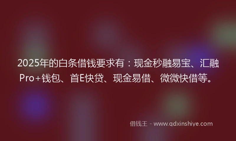 2025年的白条借钱要求有：现金秒融易宝、汇融Pro+钱包、首E快贷、现金易借、微微快借等。