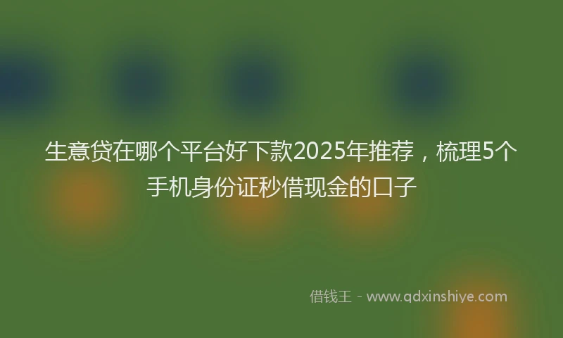 生意贷在哪个平台好下款2025年推荐，梳理5个手机身份证秒借现金的口子