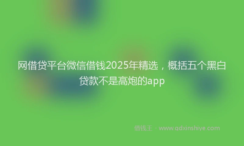 网借贷平台微信借钱2025年精选，概括五个黑白贷款不是高炮的app