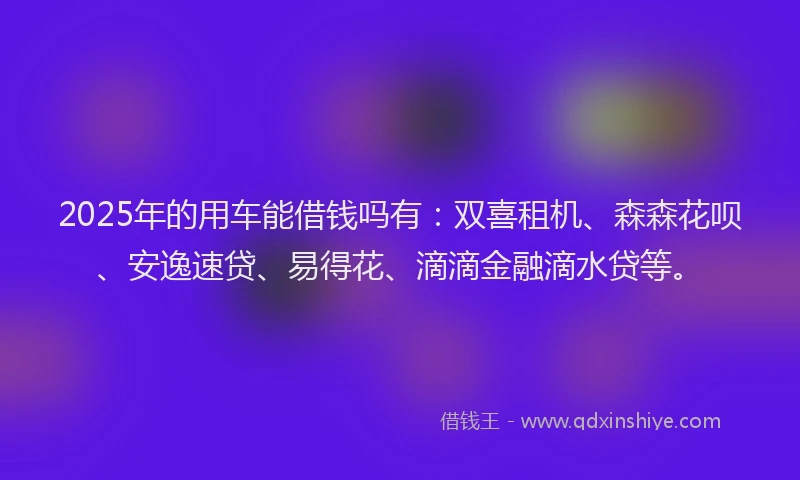 2025年的用车能借钱吗有：双喜租机、森森花呗、安逸速贷、易得花、滴滴金融滴水贷等。