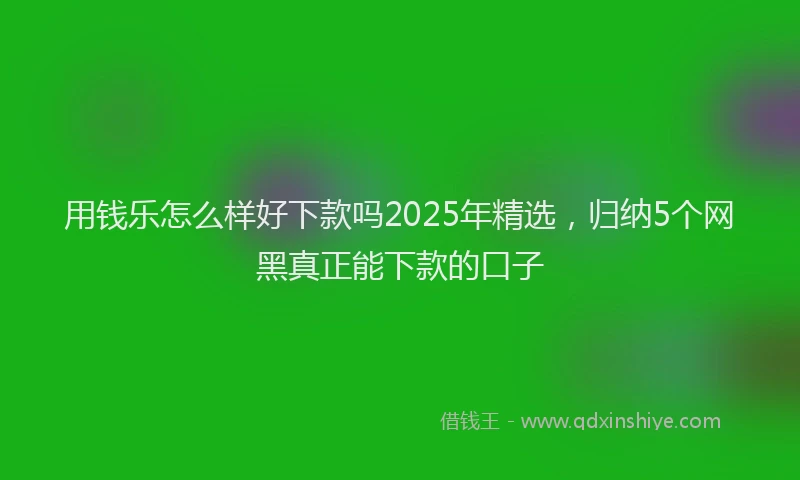 用钱乐怎么样好下款吗2025年精选，归纳5个网黑真正能下款的口子