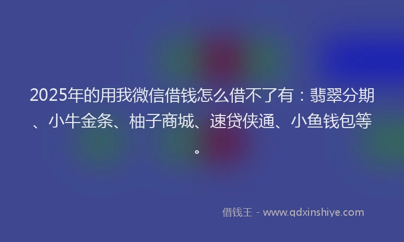 2025年的用我微信借钱怎么借不了有：翡翠分期、小牛金条、柚子商城、速贷侠通、小鱼钱包等。