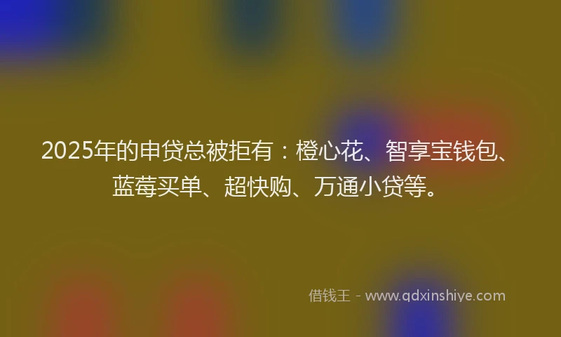 2025年的申贷总被拒有：橙心花、智享宝钱包、蓝莓买单、超快购、万通小贷等。
