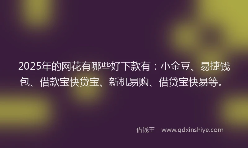 2025年的网花有哪些好下款有：小金豆、易捷钱包、借款宝快贷宝、新机易购、借贷宝快易等。