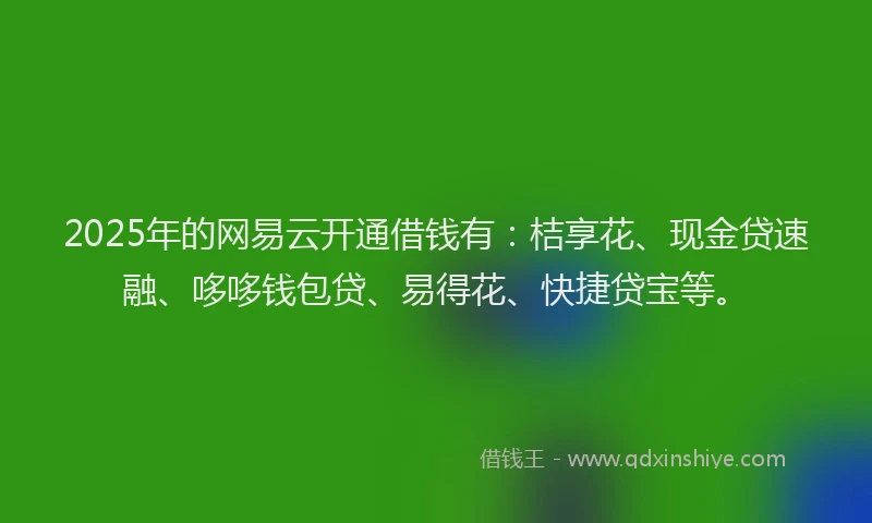2025年的网易云开通借钱有：桔享花、现金贷速融、哆哆钱包贷、易得花、快捷贷宝等。