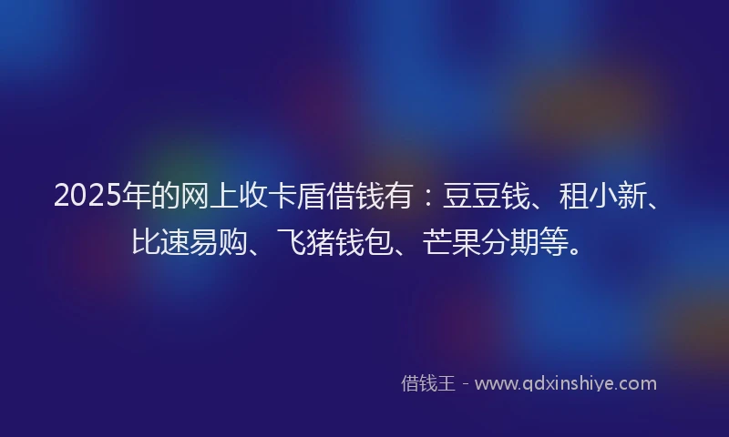 2025年的网上收卡盾借钱有：豆豆钱、租小新、比速易购、飞猪钱包、芒果分期等。