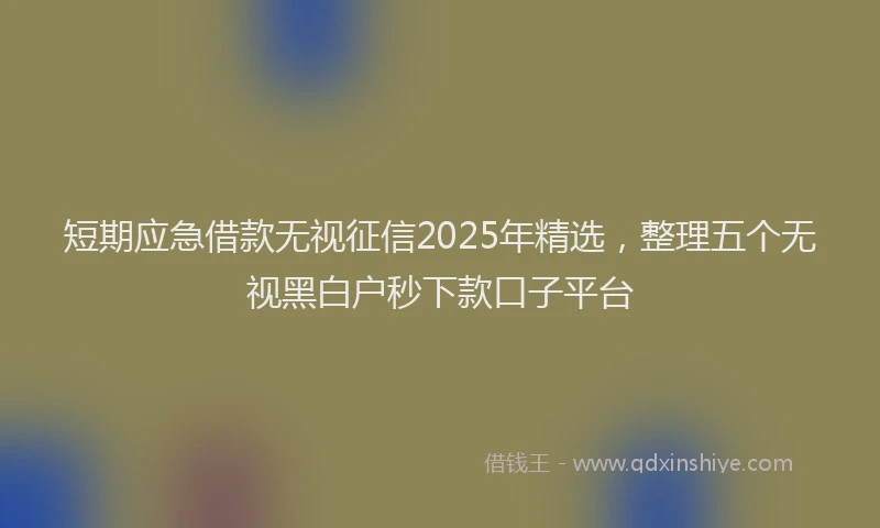 短期应急借款无视征信2025年精选，整理五个无视黑白户秒下款口子平台