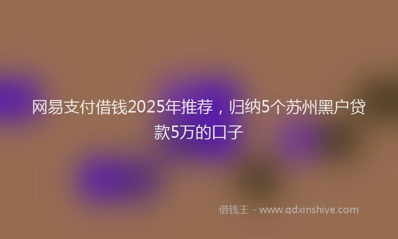 网易支付借钱2025年推荐，归纳5个苏州黑户贷款5万的口子