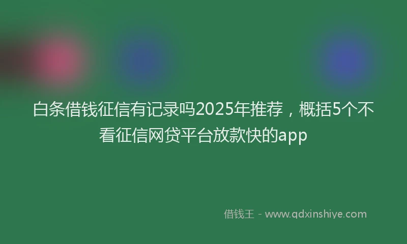 白条借钱征信有记录吗2025年推荐，概括5个不看征信网贷平台放款快的app