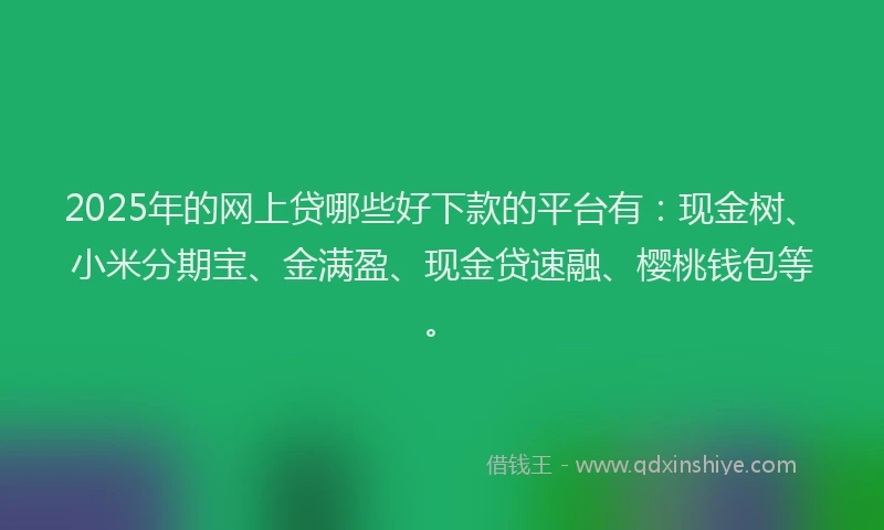 2025年的网上贷哪些好下款的平台有：现金树、小米分期宝、金满盈、现金贷速融、樱桃钱包等。