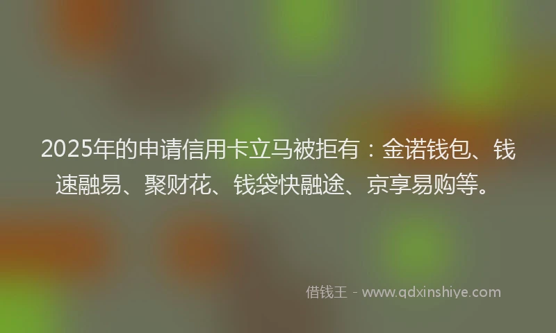 2025年的申请信用卡立马被拒有：金诺钱包、钱速融易、聚财花、钱袋快融途、京享易购等。