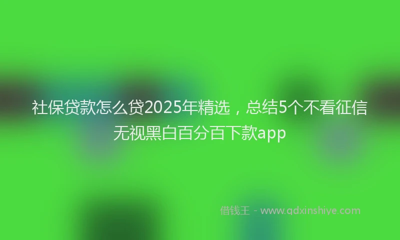 社保贷款怎么贷2025年精选，总结5个不看征信无视黑白百分百下款app