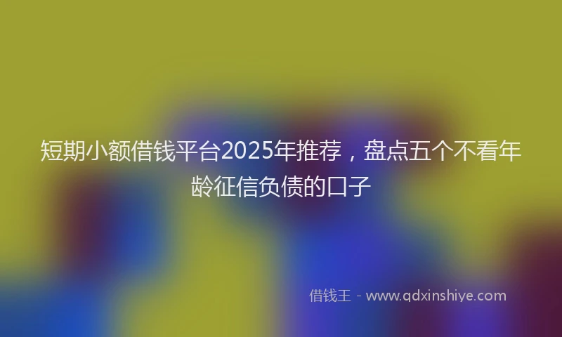 短期小额借钱平台2025年推荐，盘点五个不看年龄征信负债的口子