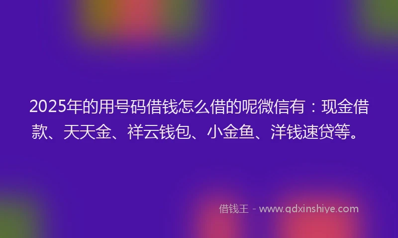 2025年的用号码借钱怎么借的呢微信有：现金借款、天天金、祥云钱包、小金鱼、洋钱速贷等。