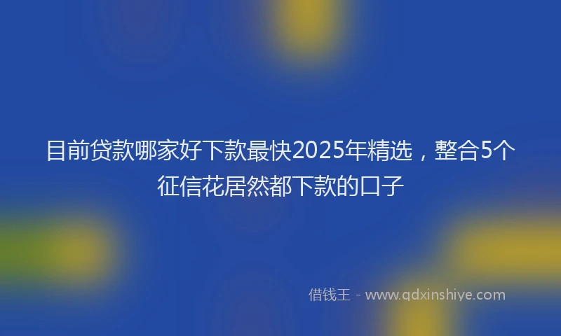 目前贷款哪家好下款最快2025年精选，整合5个征信花居然都下款的口子