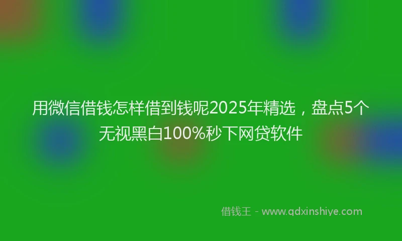 用微信借钱怎样借到钱呢2025年精选，盘点5个无视黑白100%秒下网贷软件