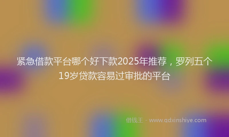 紧急借款平台哪个好下款2025年推荐，罗列五个19岁贷款容易过审批的平台