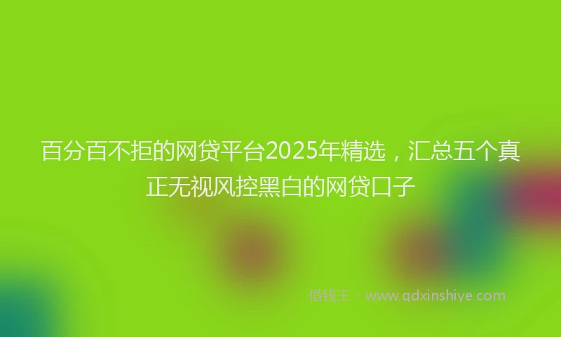 百分百不拒的网贷平台2025年精选，汇总五个真正无视风控黑白的网贷口子