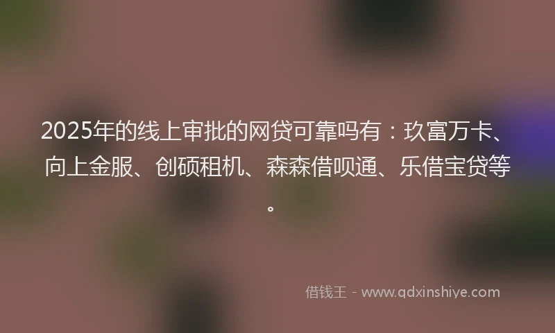 2025年的线上审批的网贷可靠吗有：玖富万卡、向上金服、创硕租机、森森借呗通、乐借宝贷等。