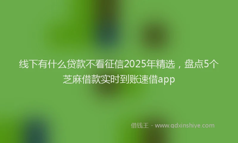 线下有什么贷款不看征信2025年精选，盘点5个芝麻借款实时到账速借app