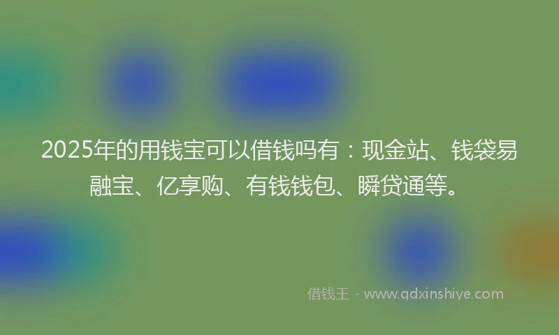 2025年的用钱宝可以借钱吗有：现金站、钱袋易融宝、亿享购、有钱钱包、瞬贷通等。