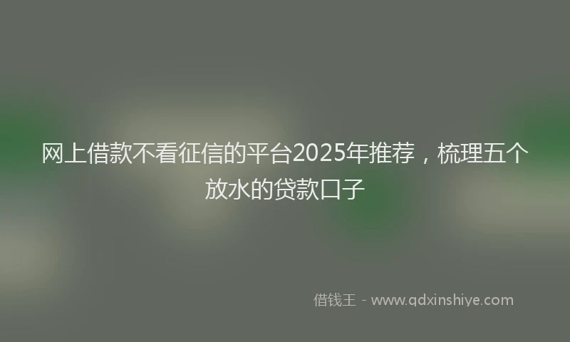 网上借款不看征信的平台2025年推荐，梳理五个放水的贷款口子