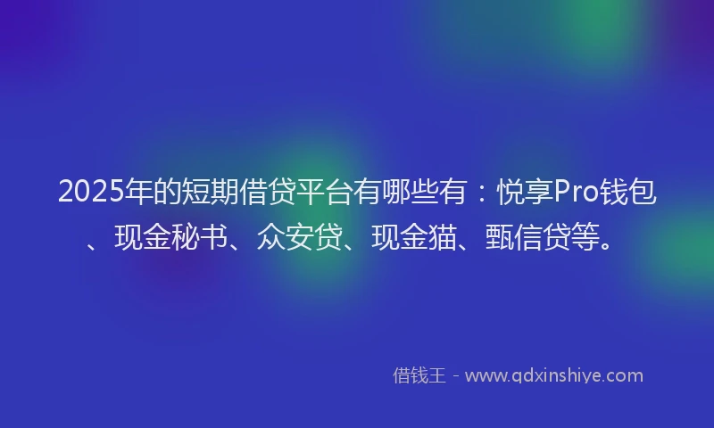 2025年的短期借贷平台有哪些有：悦享Pro钱包、现金秘书、众安贷、现金猫、甄信贷等。