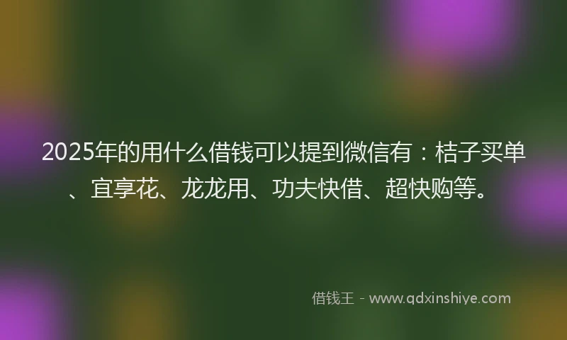 2025年的用什么借钱可以提到微信有：桔子买单、宜享花、龙龙用、功夫快借、超快购等。