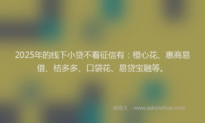 2025年的线下小贷不看征信有：橙心花、惠商易借、桔多多、口袋花、易贷宝融等。