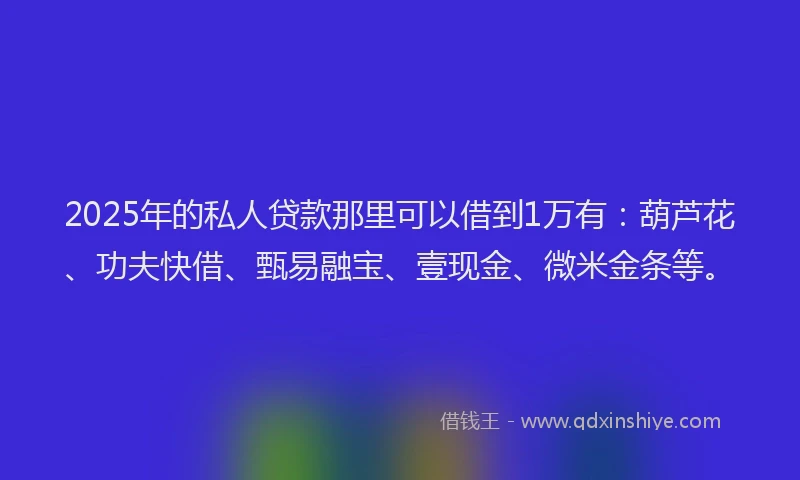 2025年的私人贷款那里可以借到1万有：葫芦花、功夫快借、甄易融宝、壹现金、微米金条等。