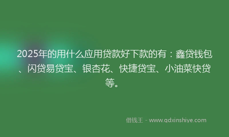 2025年的用什么应用贷款好下款的有：鑫贷钱包、闪贷易贷宝、银杏花、快捷贷宝、小油菜快贷等。