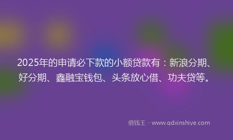 2025年的申请必下款的小额贷款有：新浪分期、好分期、鑫融宝钱包、头条放心借、功夫贷等。