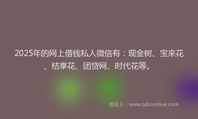 2025年的网上借钱私人微信有：现金树、宝来花、桔享花、团贷网、时代花等。