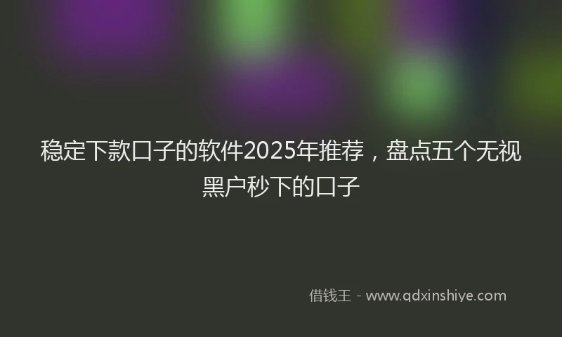 稳定下款口子的软件2025年推荐，盘点五个无视黑户秒下的口子